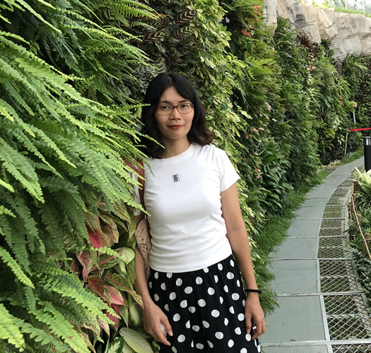 suncitygroup太阳新城