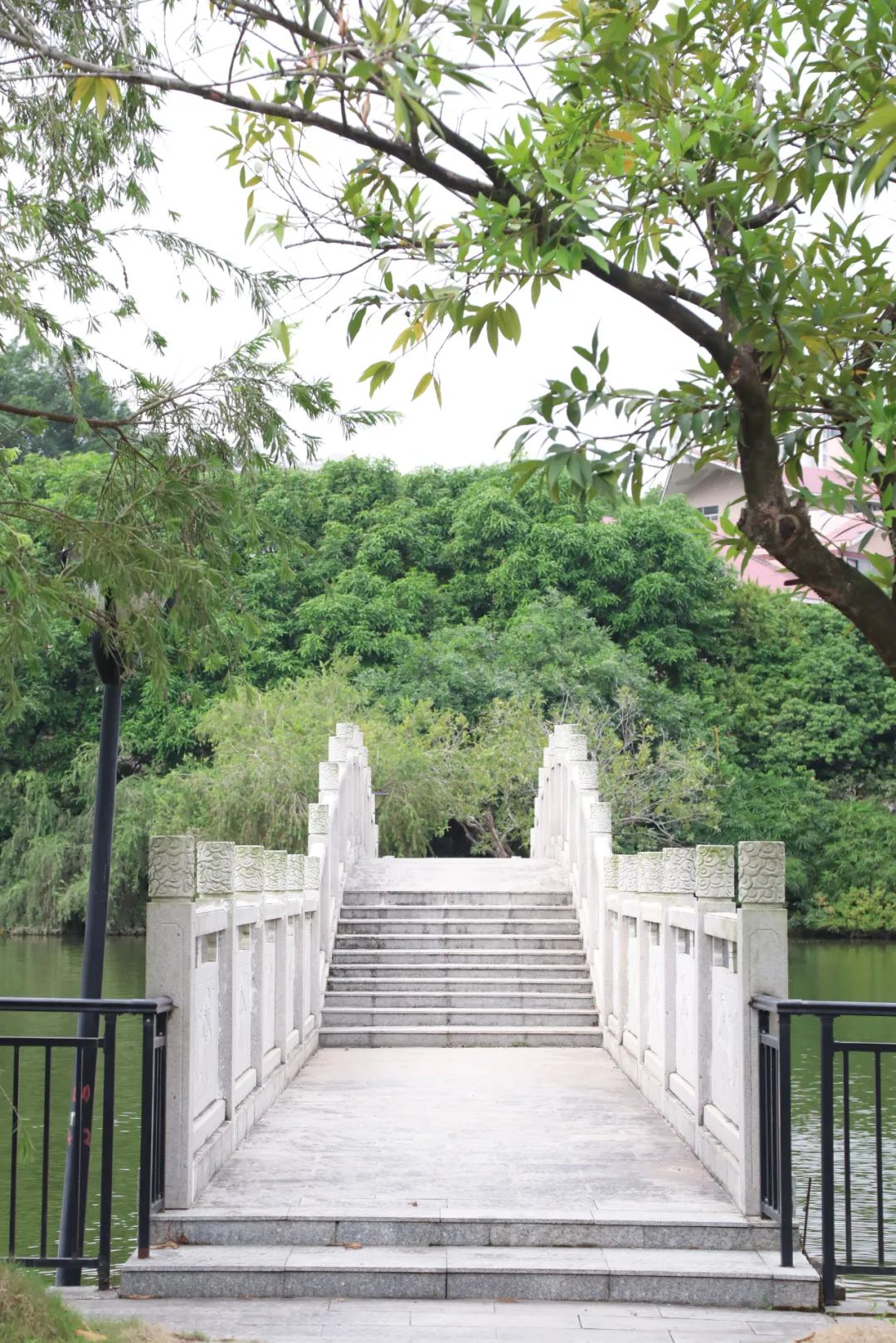 suncitygroup太阳新城